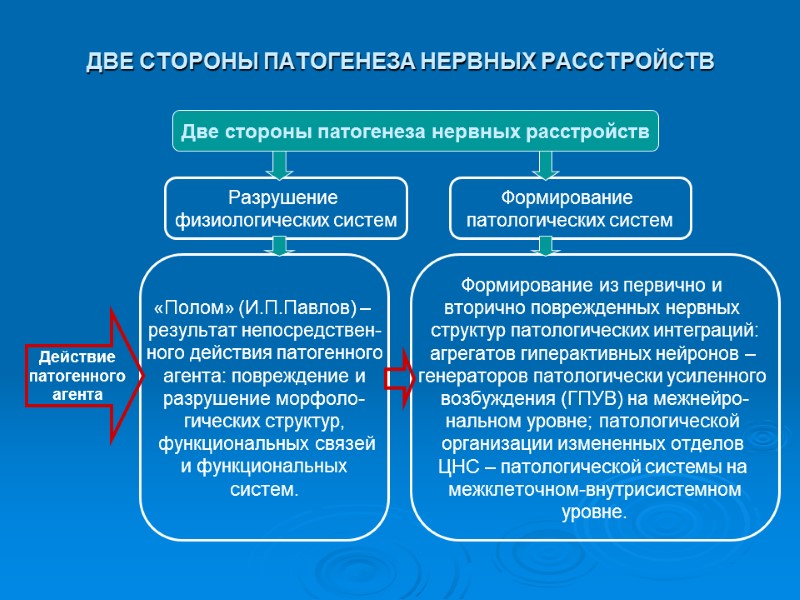 ДВЕ СТОРОНЫ ПАТОГЕНЕЗА НЕРВНЫХ РАССТРОЙСТВ